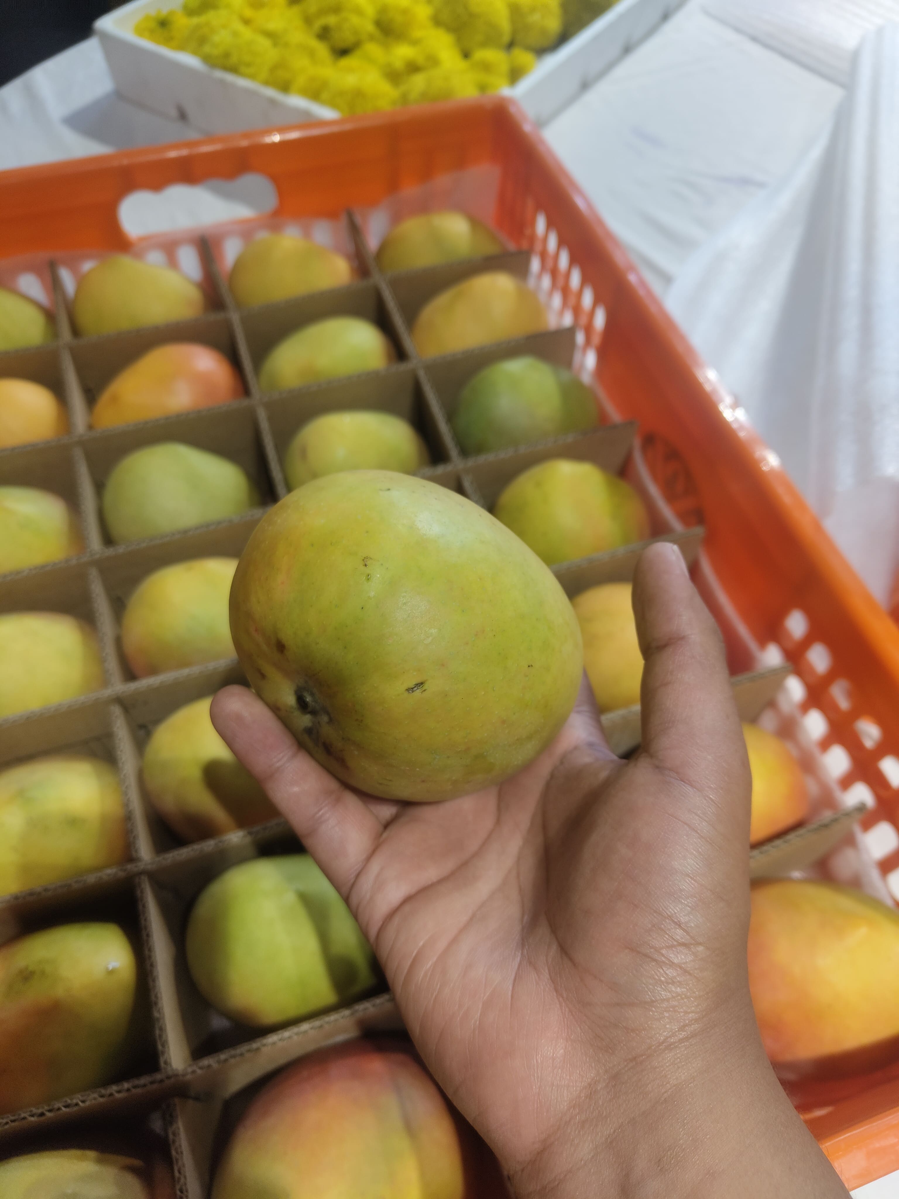 Nyika Sunrise Mango