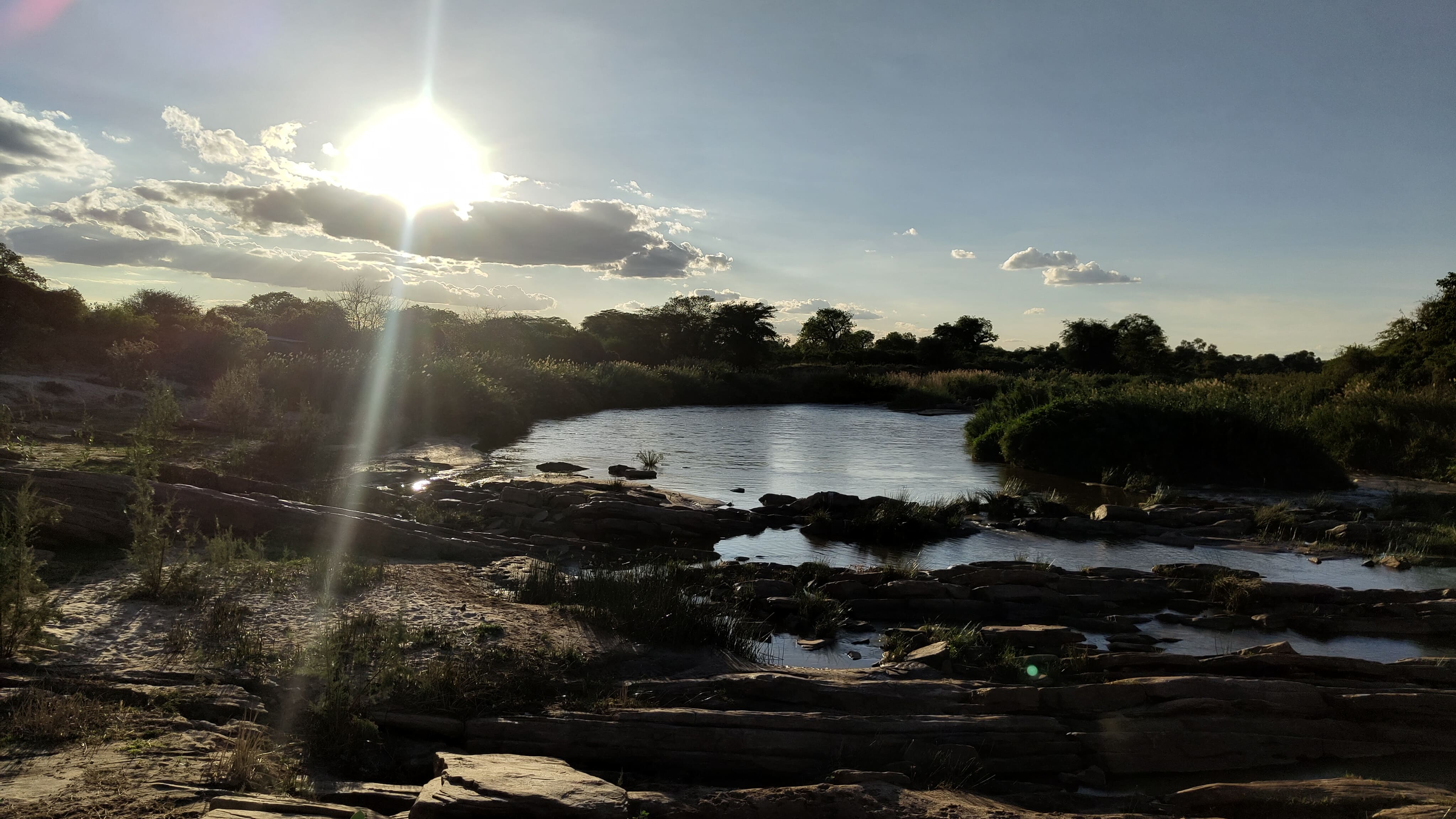 Nyika Sunrise Mango